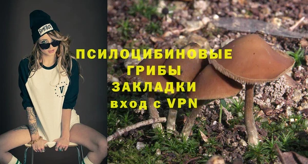 прущий лед Вязьма