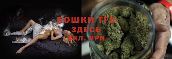 гашик Верея