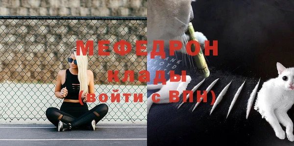 гашик Верея