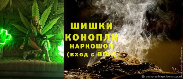 гашик Верея