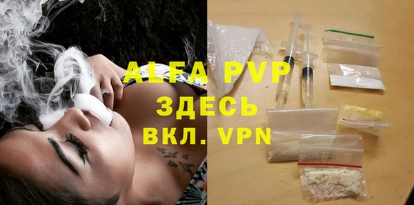 гашик Верея